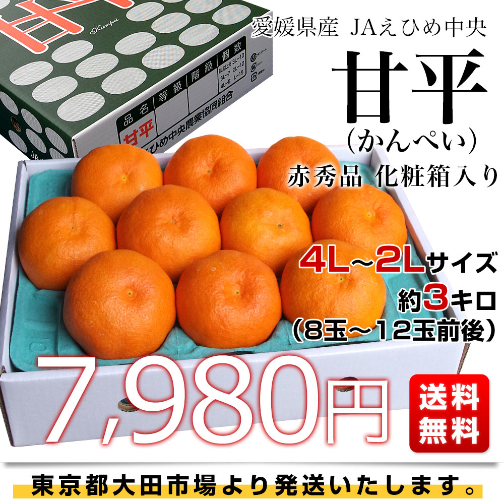 愛媛県産 JAえひめ中央 甘平 赤秀品 化粧箱 4Lから2Lサイズ 約3キロ(8