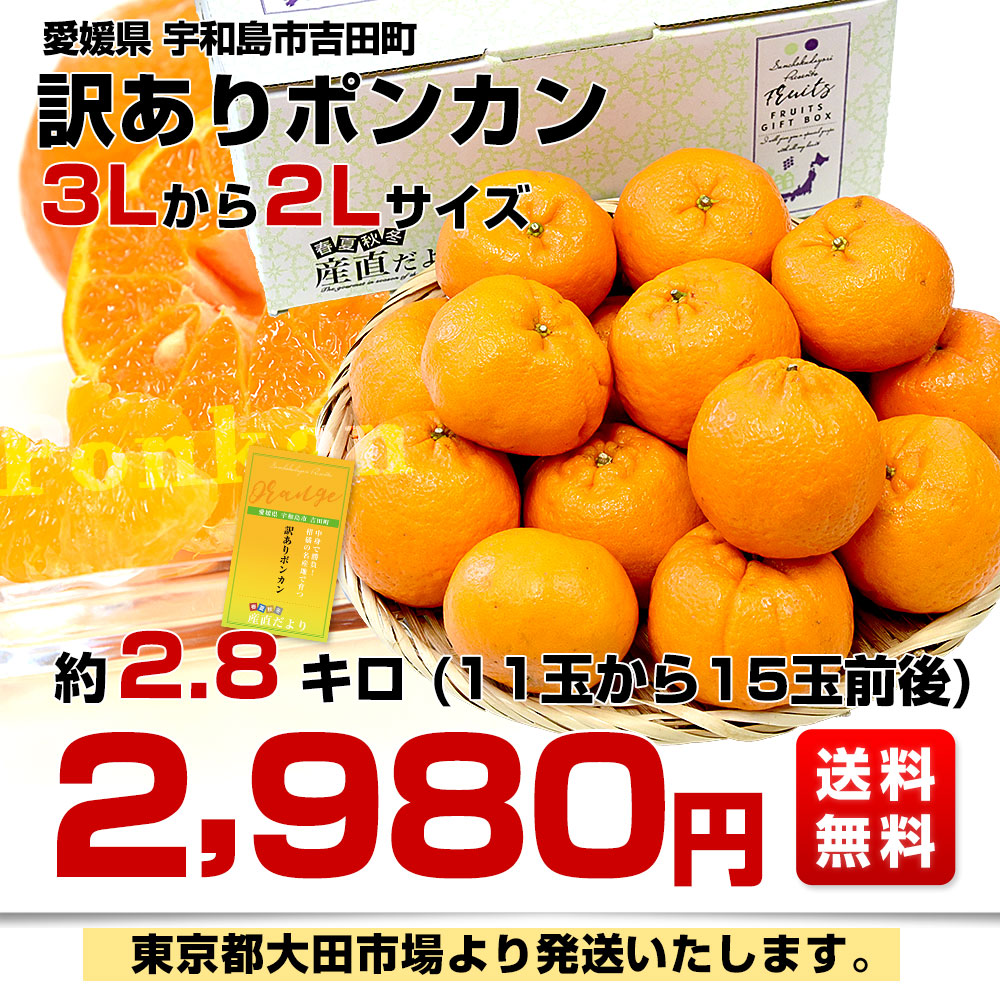愛媛県 宇和島市吉田町 訳ありポンカン 3Lから2Lサイズ 約2.8キロ (11