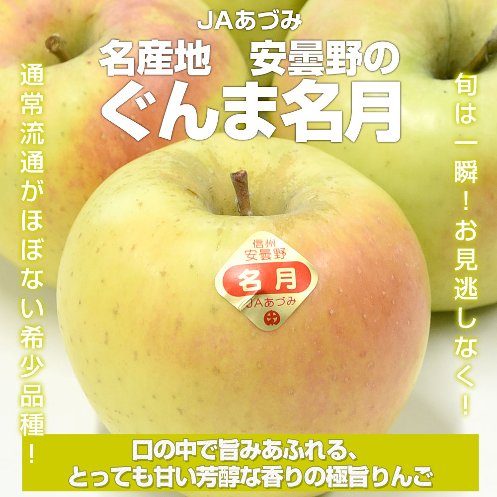 長野県産 JAあづみ 安曇野 ぐんま名月(めいげつ) 約3キロ （8玉から10