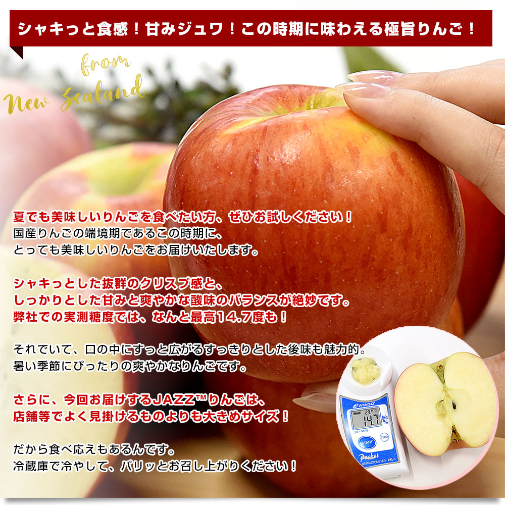 ニュージーランド産 JAZZりんご(品種:サイフレッシュ) 約2.6キロ(12玉