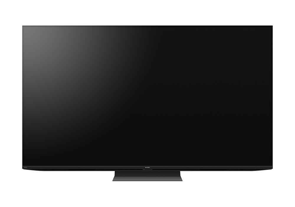 PanasonicとSHARPチューナー、ケーブル付 PanasonicとSHARPチューナー