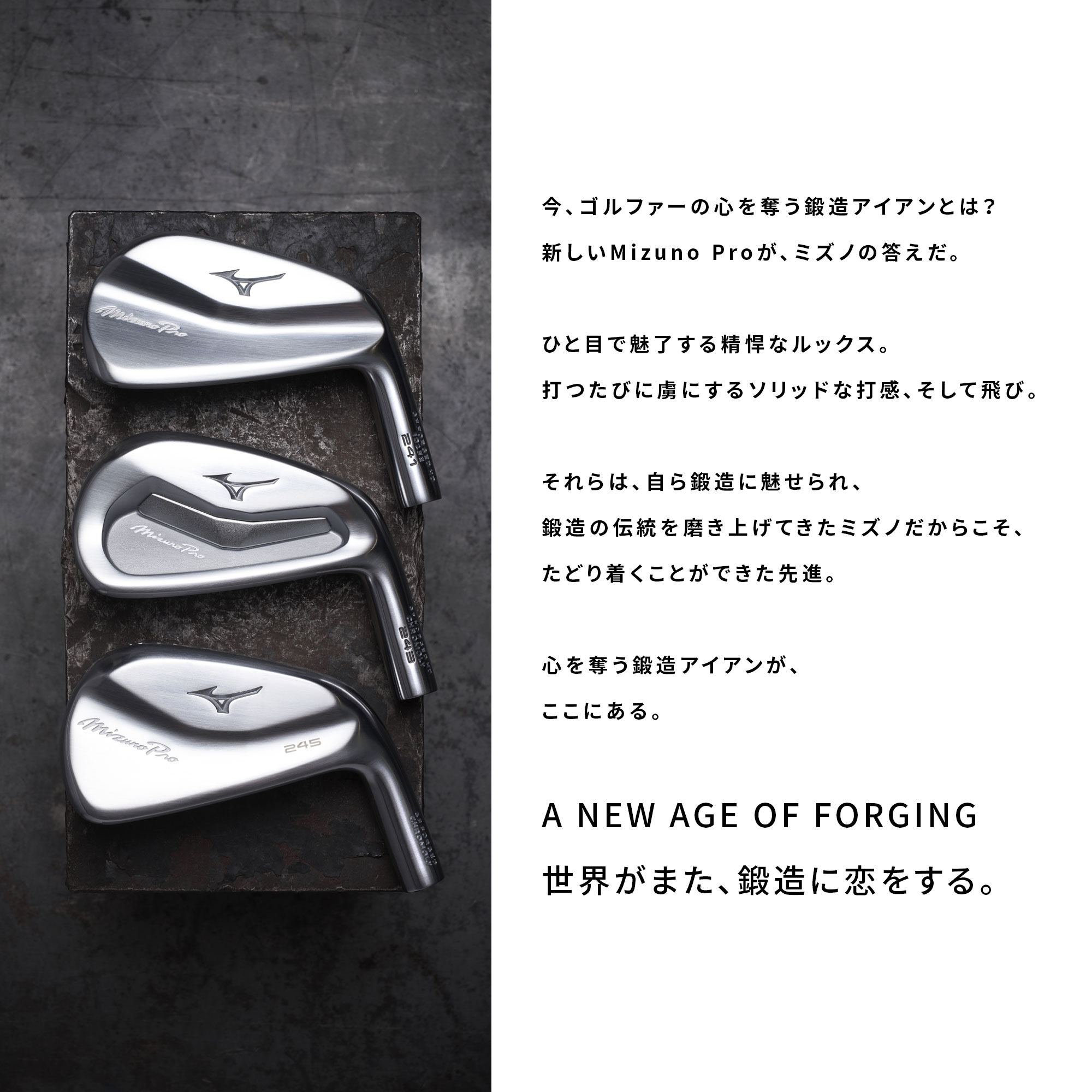 Mizuno Pro 243 アイアン 6本組(No.5～9、PW)(N.S.PRO MODUS3 TOUR105