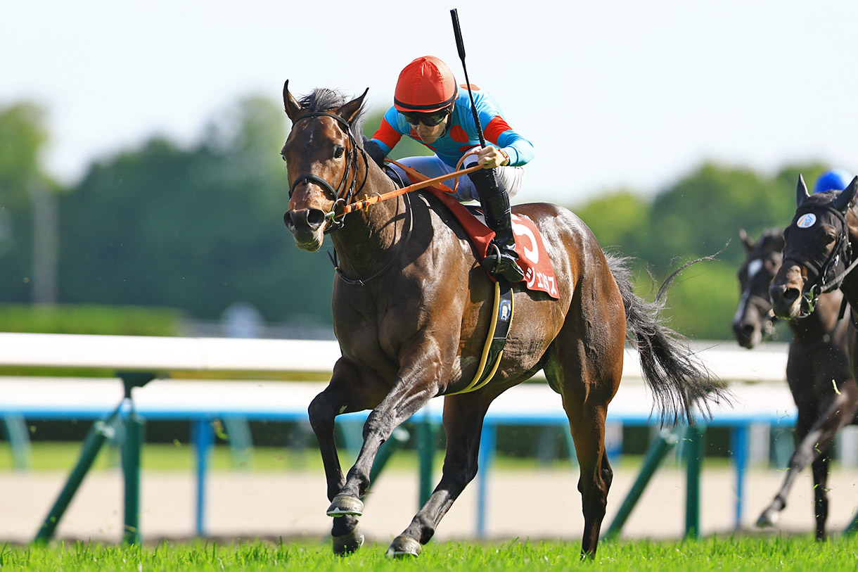 東京優駿（日本ダービー）2025 有力馬情報｜G1特集｜競馬情報ならJRA-VAN