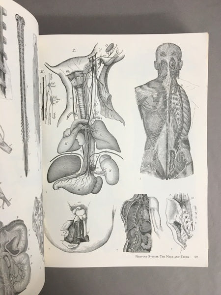 IMAGE OF MEDICINE 19世紀の解剖図と医学書の図版 洋書 – 古書ドリス