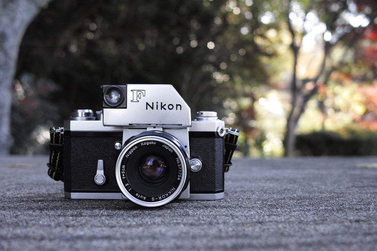 紅葉とNikon Fフォトミック : 休日の探し方