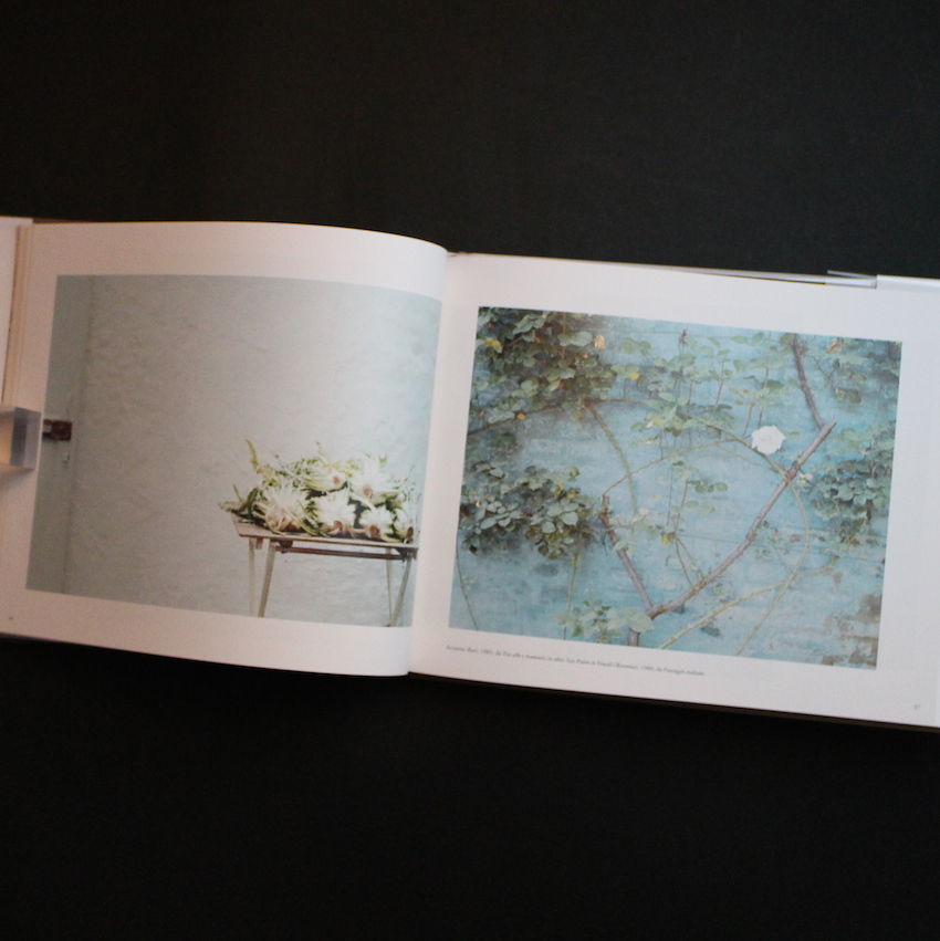 It's beautiful here, isn't it（First Edition） - Luigi Ghirri