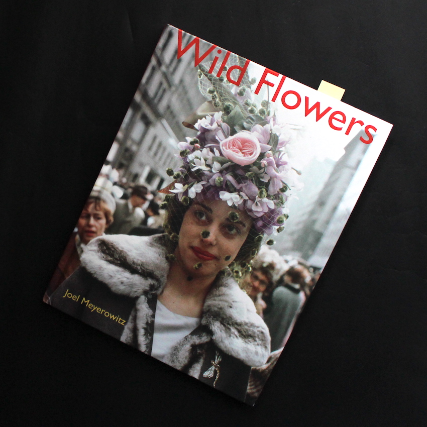 Wild Flowers（2021, Acceptable） - Joel Meyerowitz