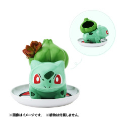 ミニ植木鉢 フシギダネ - Meccha Japan