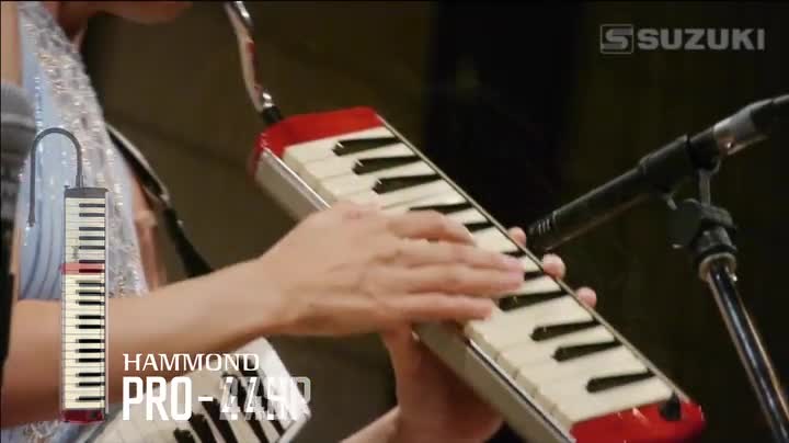 Amazon | HAMMOND ハモンド PRO-24B 鍵盤ハーモニカ エレアコ バス
