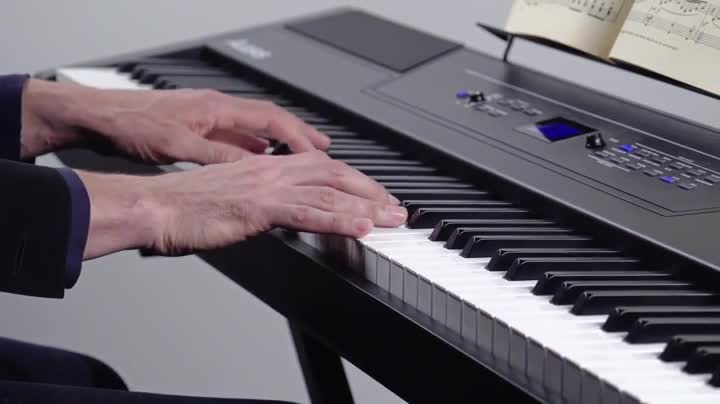 Amazon | Alesis 88鍵盤 電子ピアノ ハンマーアクション鍵盤 Recital
