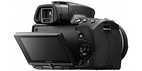 Amazon | SONY ミラーレス一眼 α55 ズームレンズキット DT 18-55mm F3