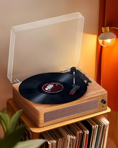 Amazon.co.jp: Hoshikou Denpa レコードプレーヤー 内蔵スピーカー付き