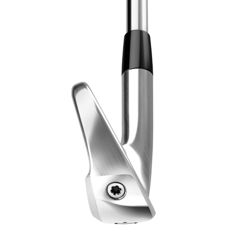 Amazon.co.jp: テーラーメイド P760アイアン 6本セット（#5-PW）NS PRO