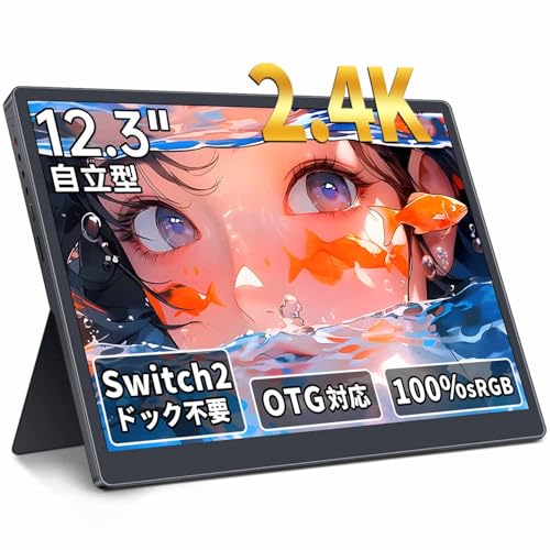 Amazon.co.jp: HAILESI モバイルモニター 12.3インチ 2.4K 2400x1600