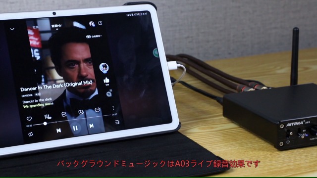 Amazon.co.jp: AIYIMA A03 TPA3116サブウーファーアンプ QCC304X