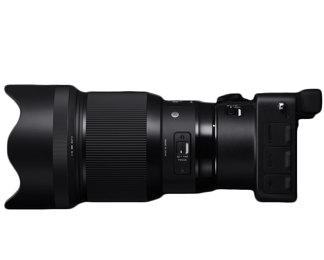 Amazon.com : 85mm F1.4 Art DG HSM for Sony E : Electronics