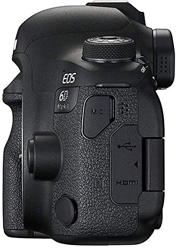 Amazon Canada: Canon EOS 6D Mark II Wi-Fi Digital SLR Camera Body