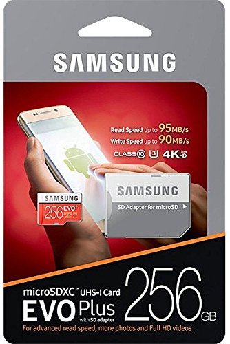 Amazon.com: Samsung EVO+ 256GB UHS-I microSDXC U3 Memory Card with
