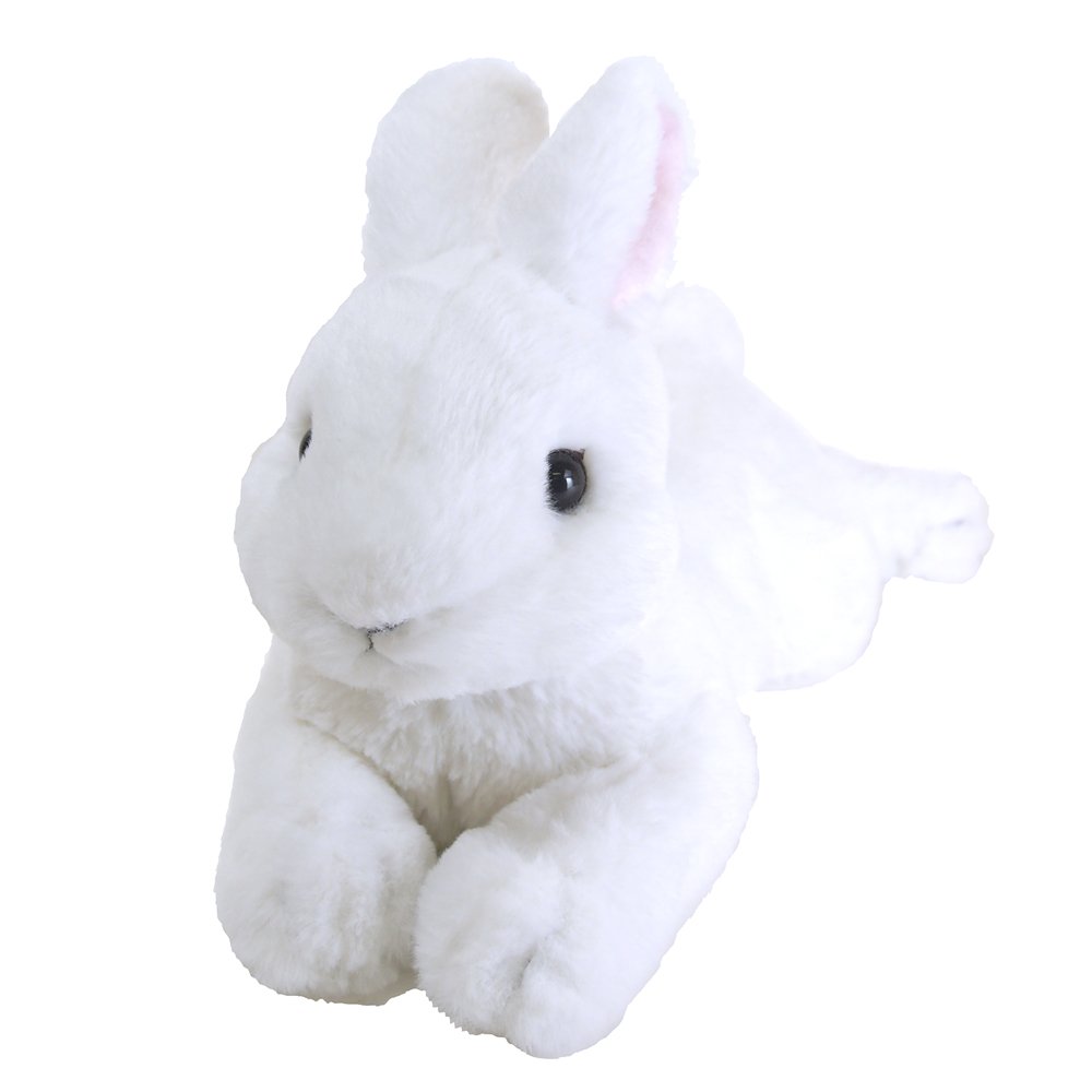 Amazon.co.jp: ひざうさぎ ぬいぐるみ ホワイト S P-3782 : 産業・研究