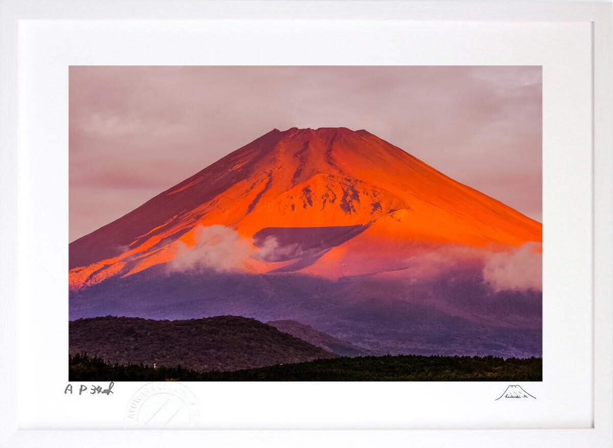 油絵 菅家令子 絵 絵画 インテリア F6-081911 風景 冬の富士山 油絵