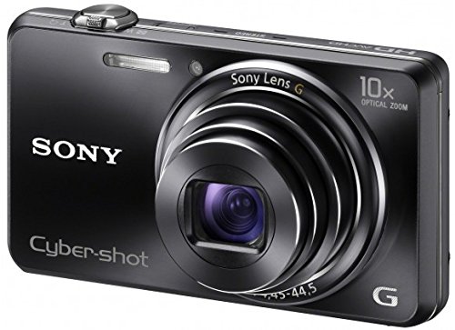 Amazon.com : Sony Cybershot WX100 18.2 Megapixel 10xzoom Black