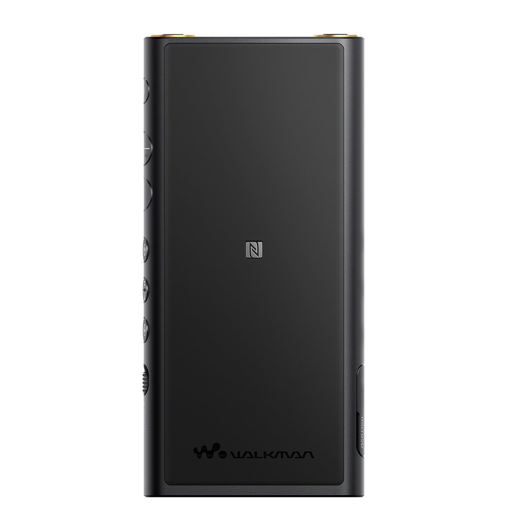 Amazon.co.jp: ソニー ウォークマン ZXシリーズ 128GB NW-ZX300G : φ4