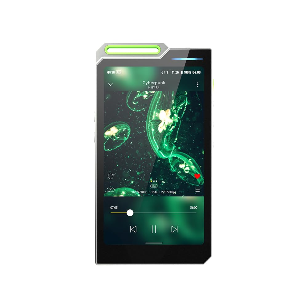 Amazon.com: HiBy R4 Next-Gen Digital Audio Player with Spotify