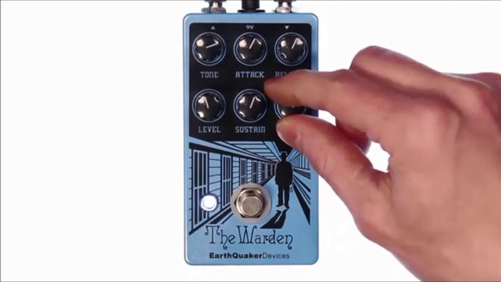 Amazon.com: EarthQuaker Devices The Warden V2 Optical Compressor