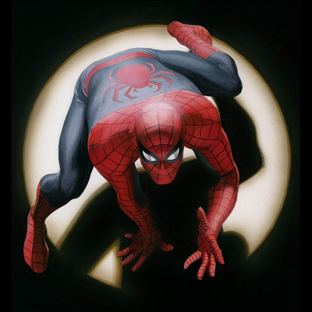 Spider-Man Alex Ross Spidey Adult tee (Small) Black | Amazon.com