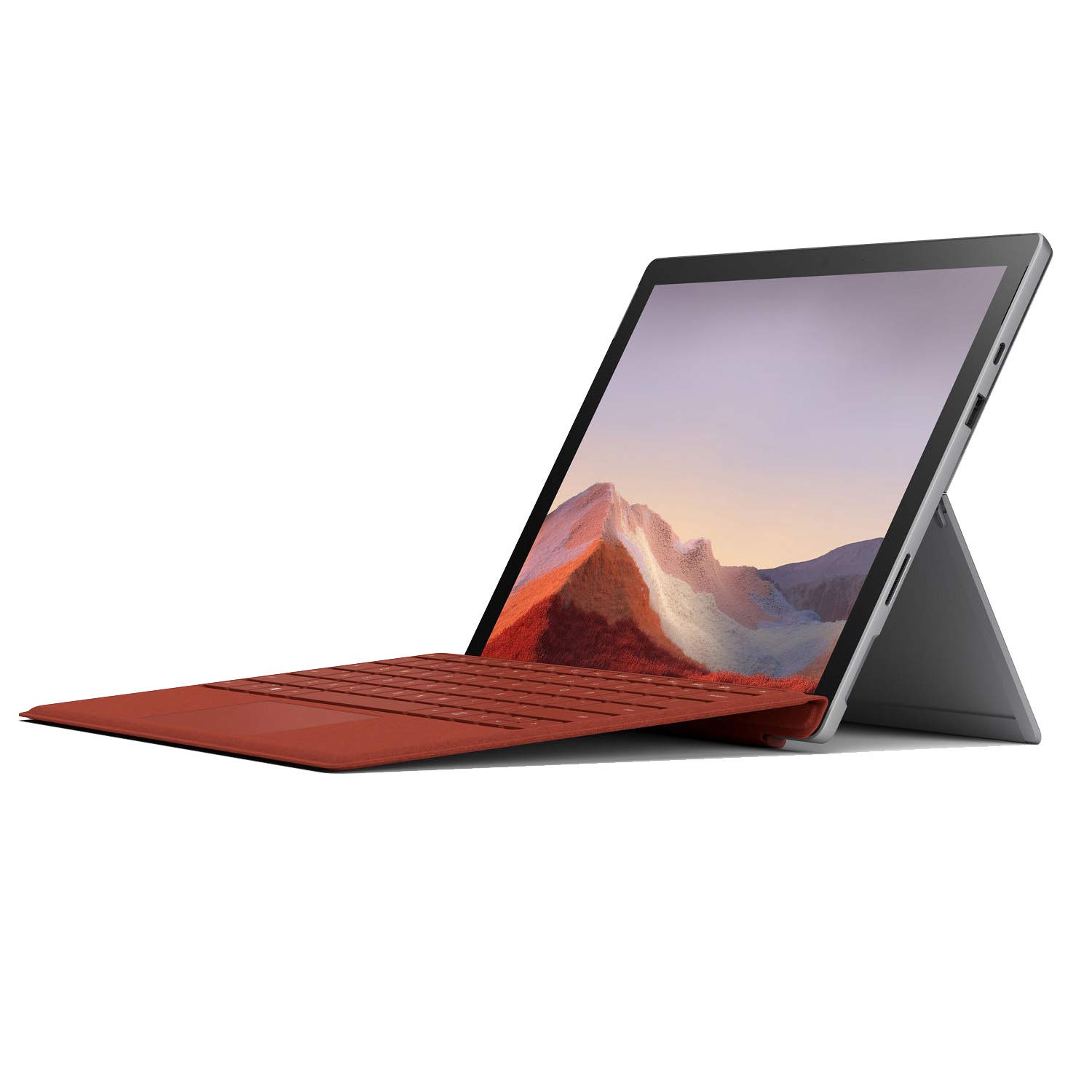 Amazon.com : Microsoft 12.3
