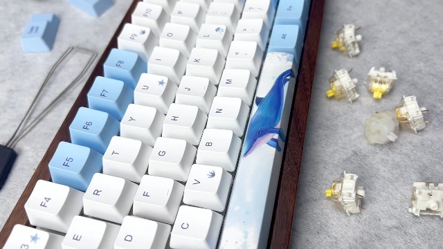 Amazon.com: for GH60 GK61 GK64 Anne RK61 with Cherry MX ANSI