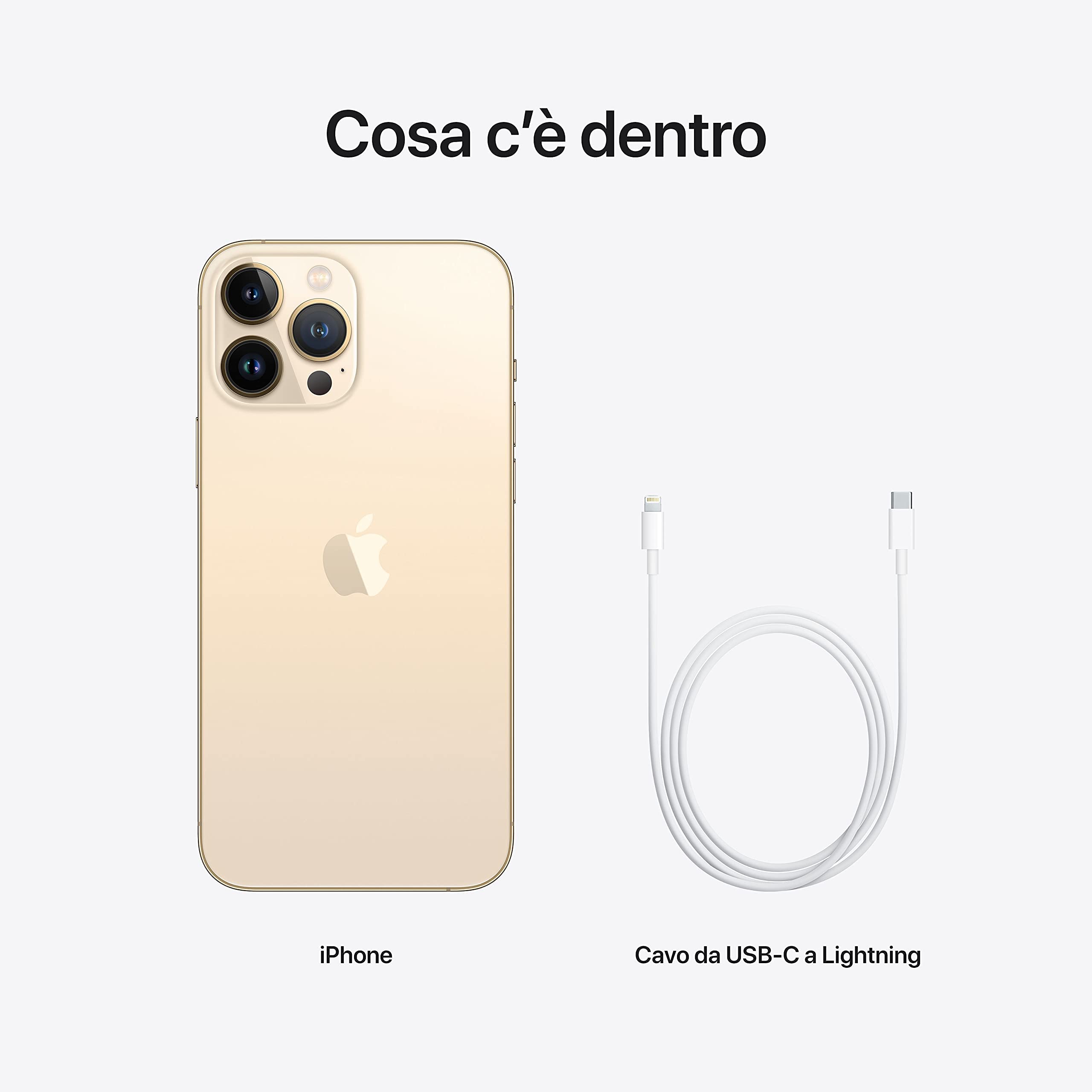Apple iPhone 13 Pro Max 1TB Gold - (Refurbished) : Amazon.nl