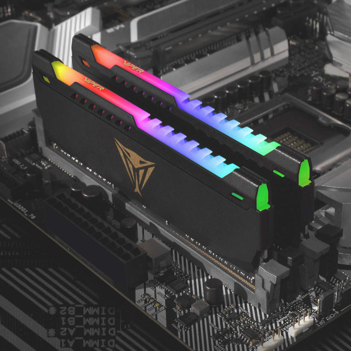 Patriot Viper Steel RGB DDR4 32GB (1 x 32GB) Módulo 3600MHz