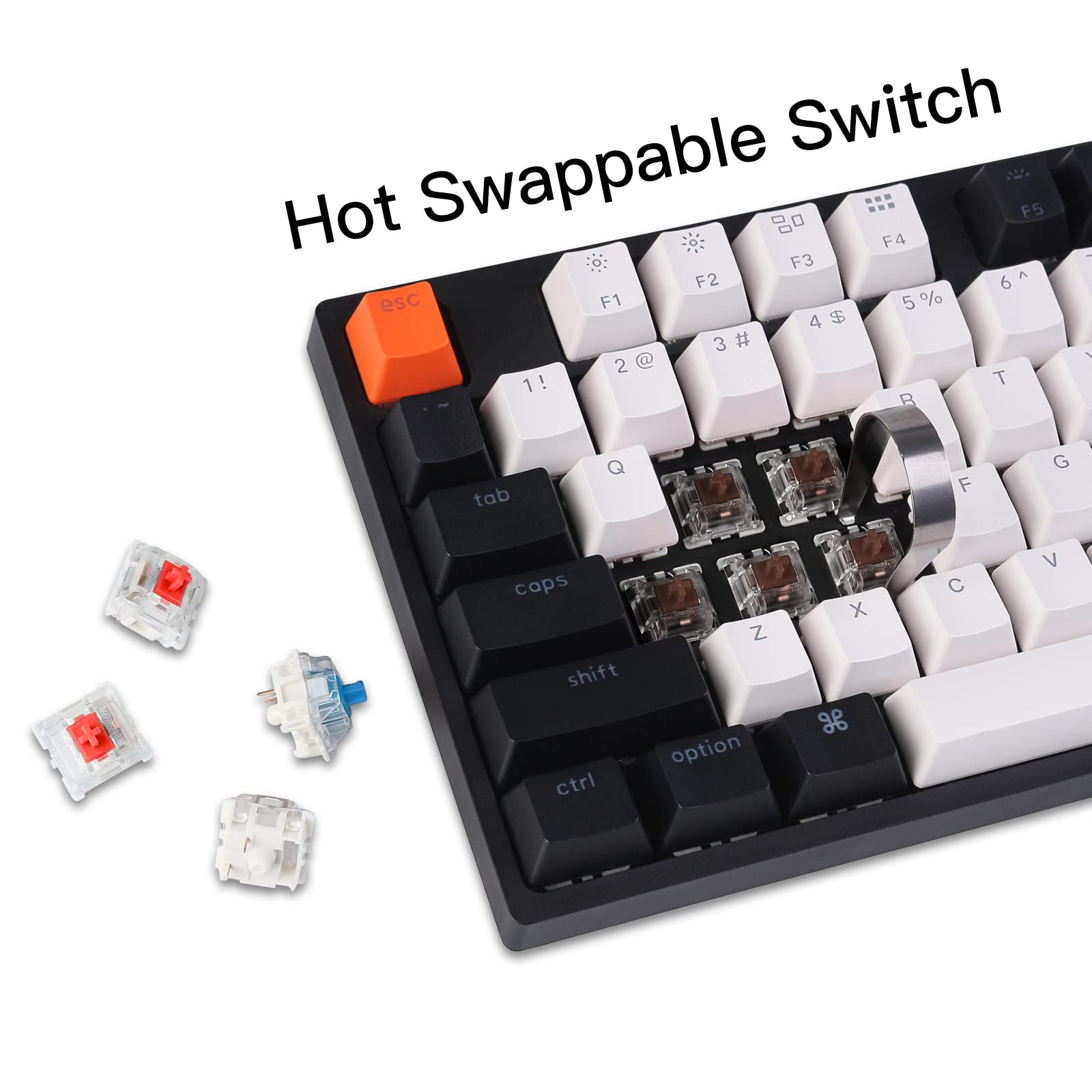 Amazon | Keychron C2 フルサイズ 有線メカニカルキーボード Mac用