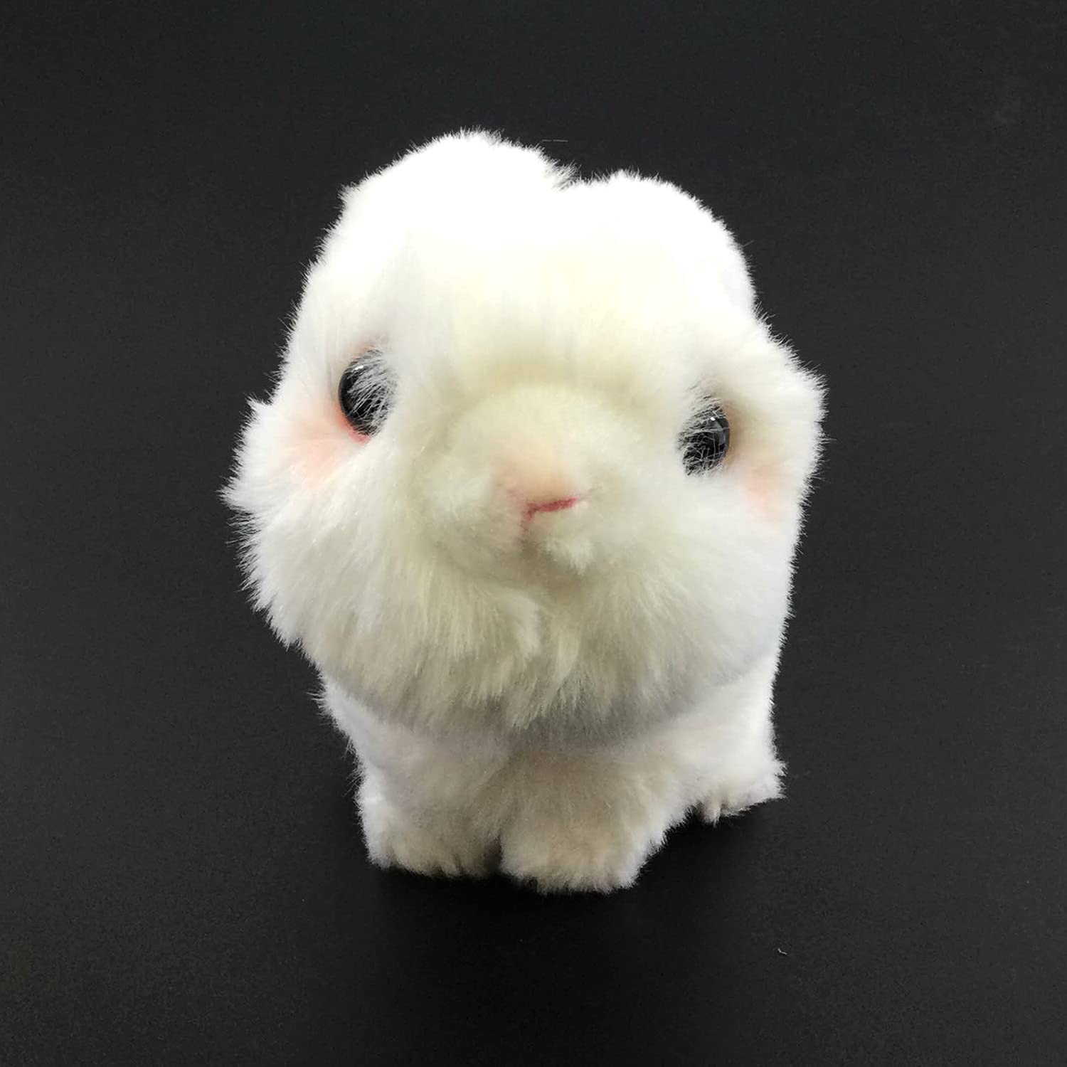 Amazon.co.jp: キュート販売 ぬいぐるみ こうさぎ ホワイト F0244