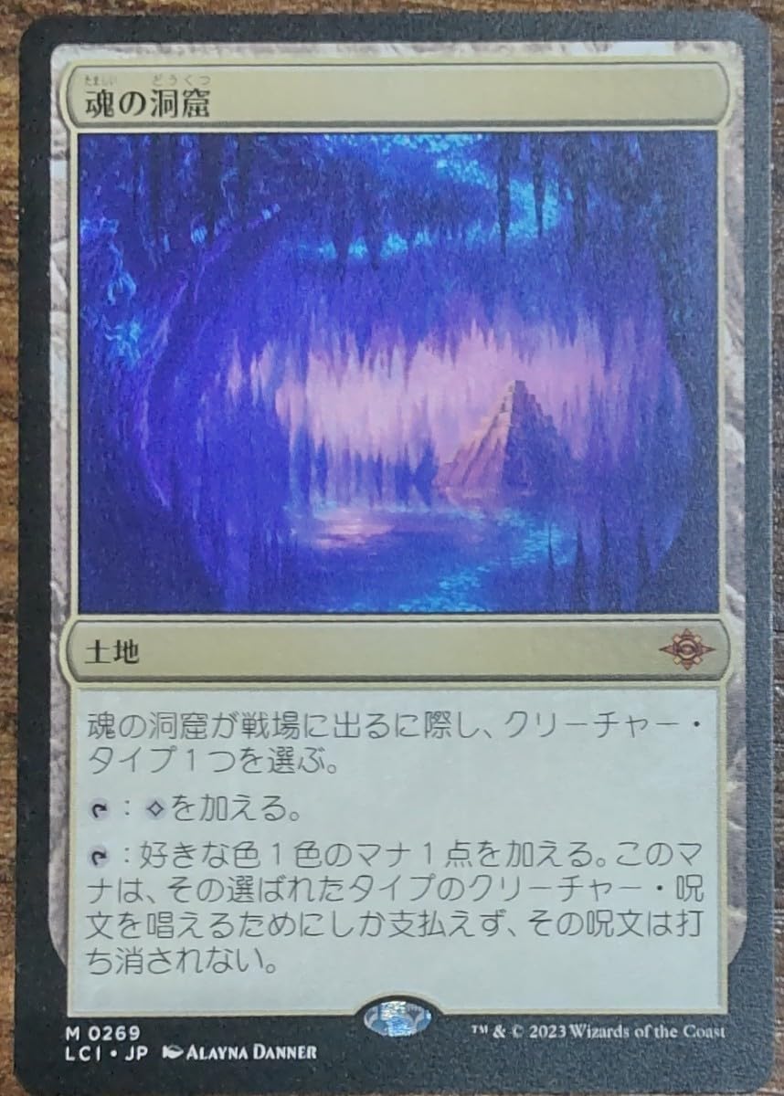 MTG 日本語版 魂の洞窟 4枚セット エクスペディション ボックス