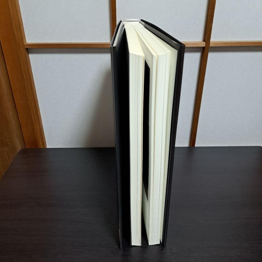 Amazon.co.jp: 歴史の歴史 杉本博司 新素研 2008年 : 文房具・オフィス用品