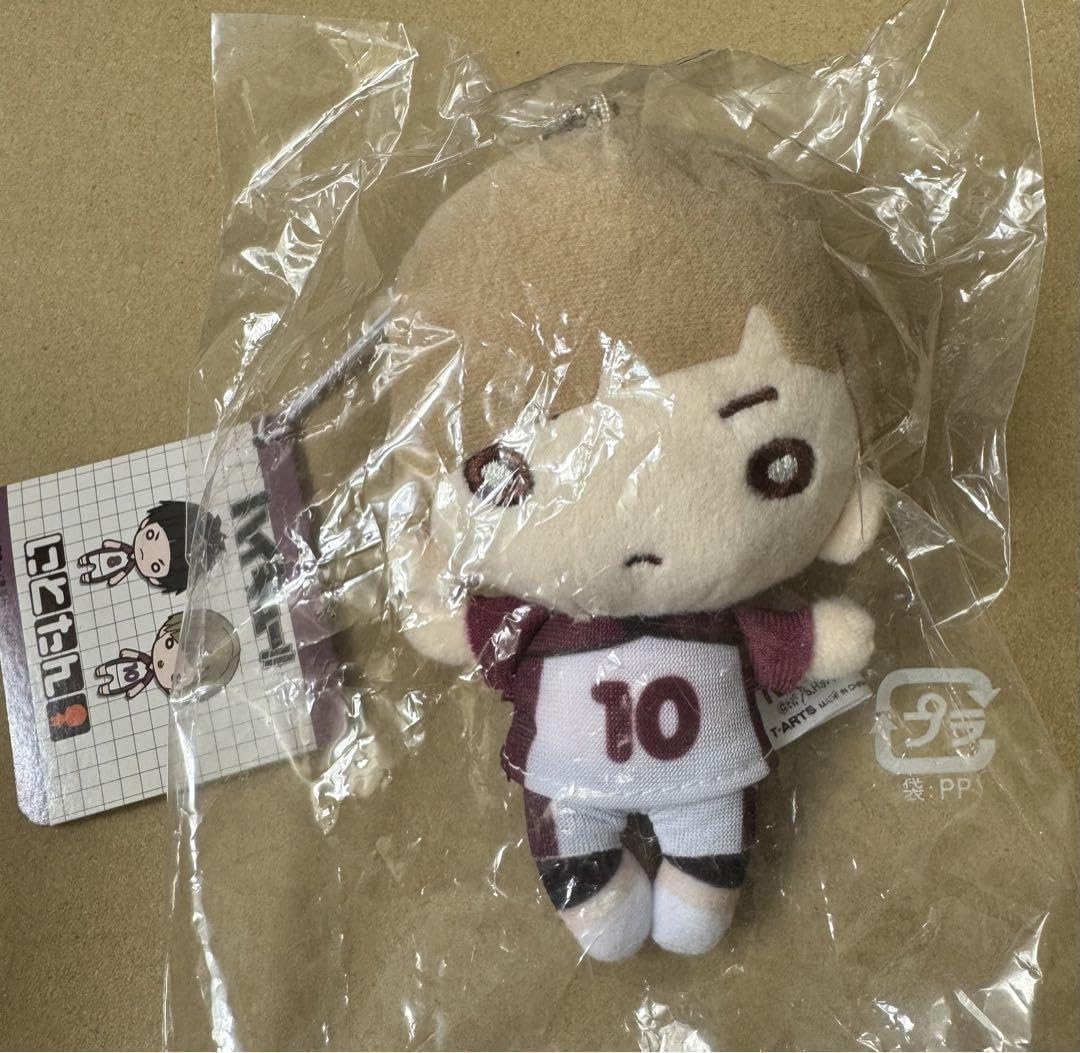 Amazon.co.jp: ハイ キ ューにとたん ぬいぐるみ 白布賢二郎 : おもちゃ