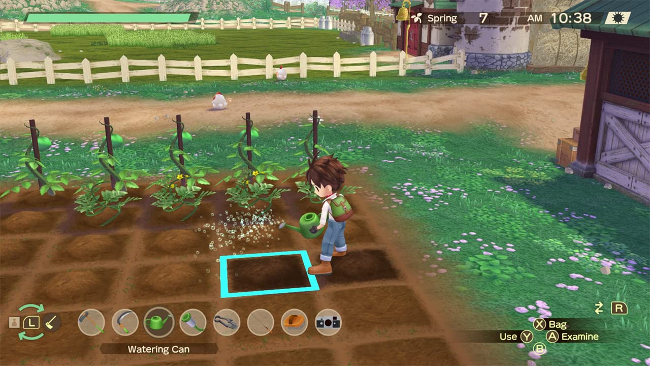 Amazon.com: Story of Seasons: A Wonderful Life : Video Games
