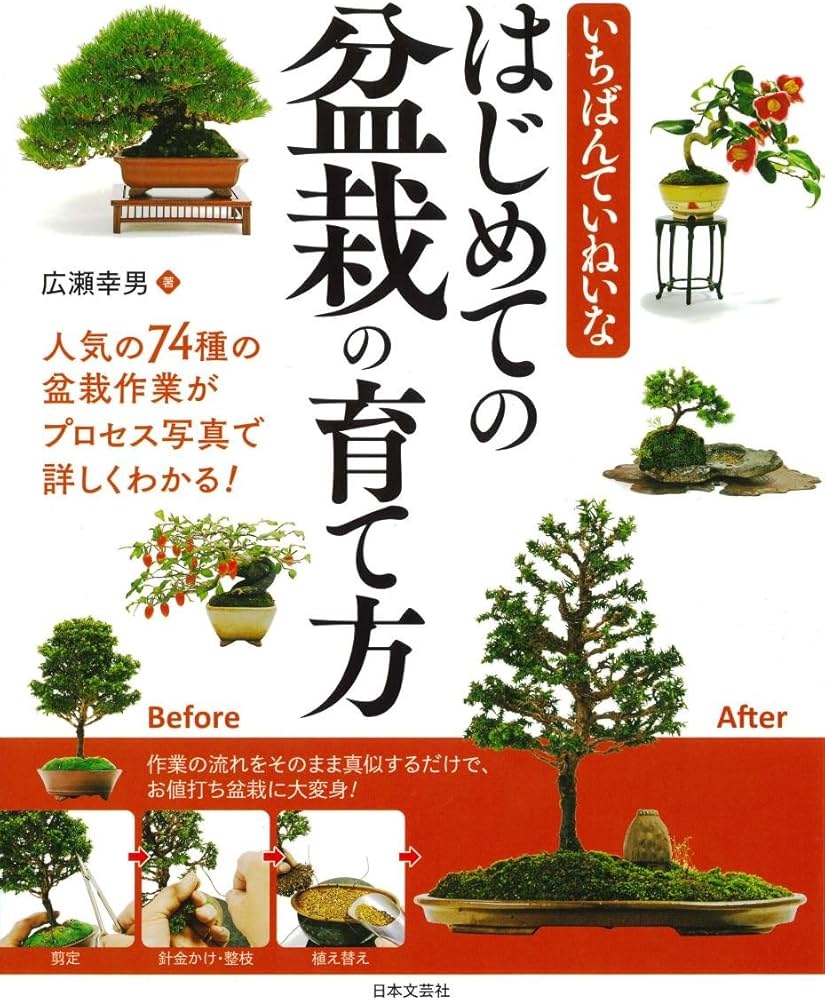 いちばんていねいな はじめての盆栽の育て方 | 広瀬 幸男 |本 | 通販