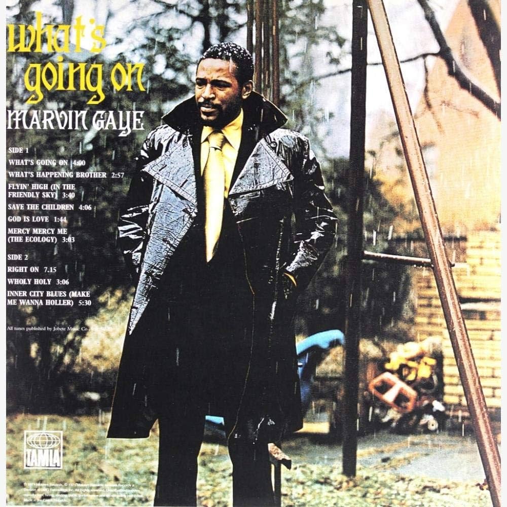 GAYE,MARVIN - What's Going On - Limited Gatefold 180-Gram Vinyl