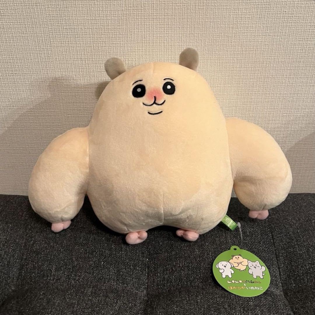 Amazon.co.jp: ムキムキのハムちゃん BIGぬいぐるみ YZ : おもちゃ