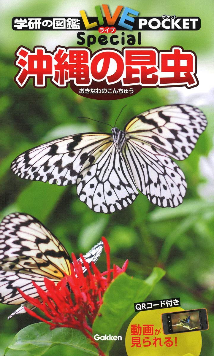 沖縄の昆虫 (学研の図鑑LIVEポケット スペシャル) | 槐 真史, 槐 真史