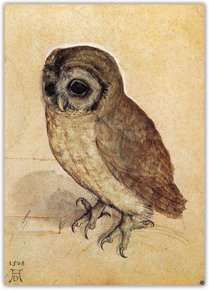 Amazon｜アルブレヒト・デューラーの絵画は「リトルフクロウ」の