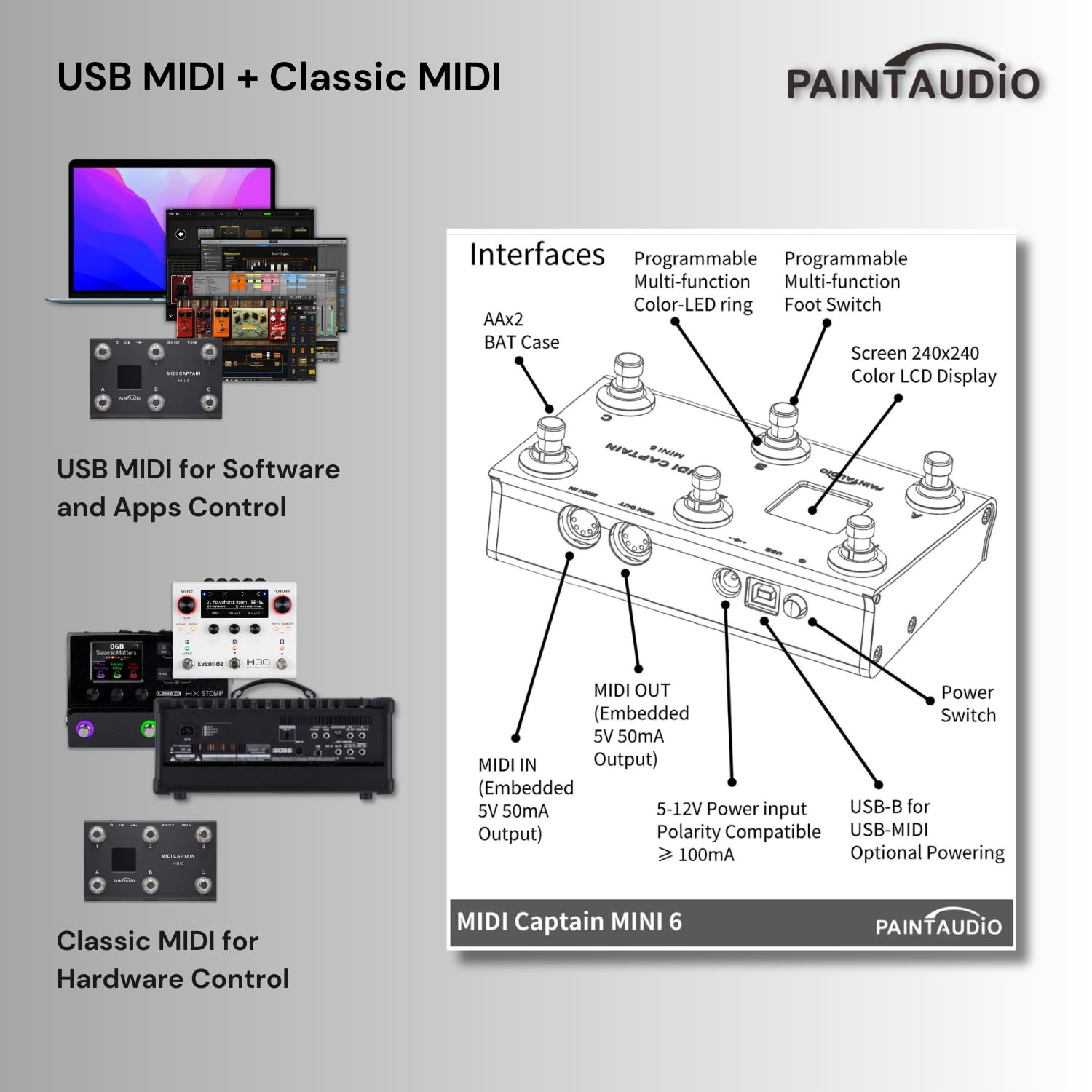 Amazon | PAINTAUDIO MIDI Captain NANO 4/MINI 6フィート