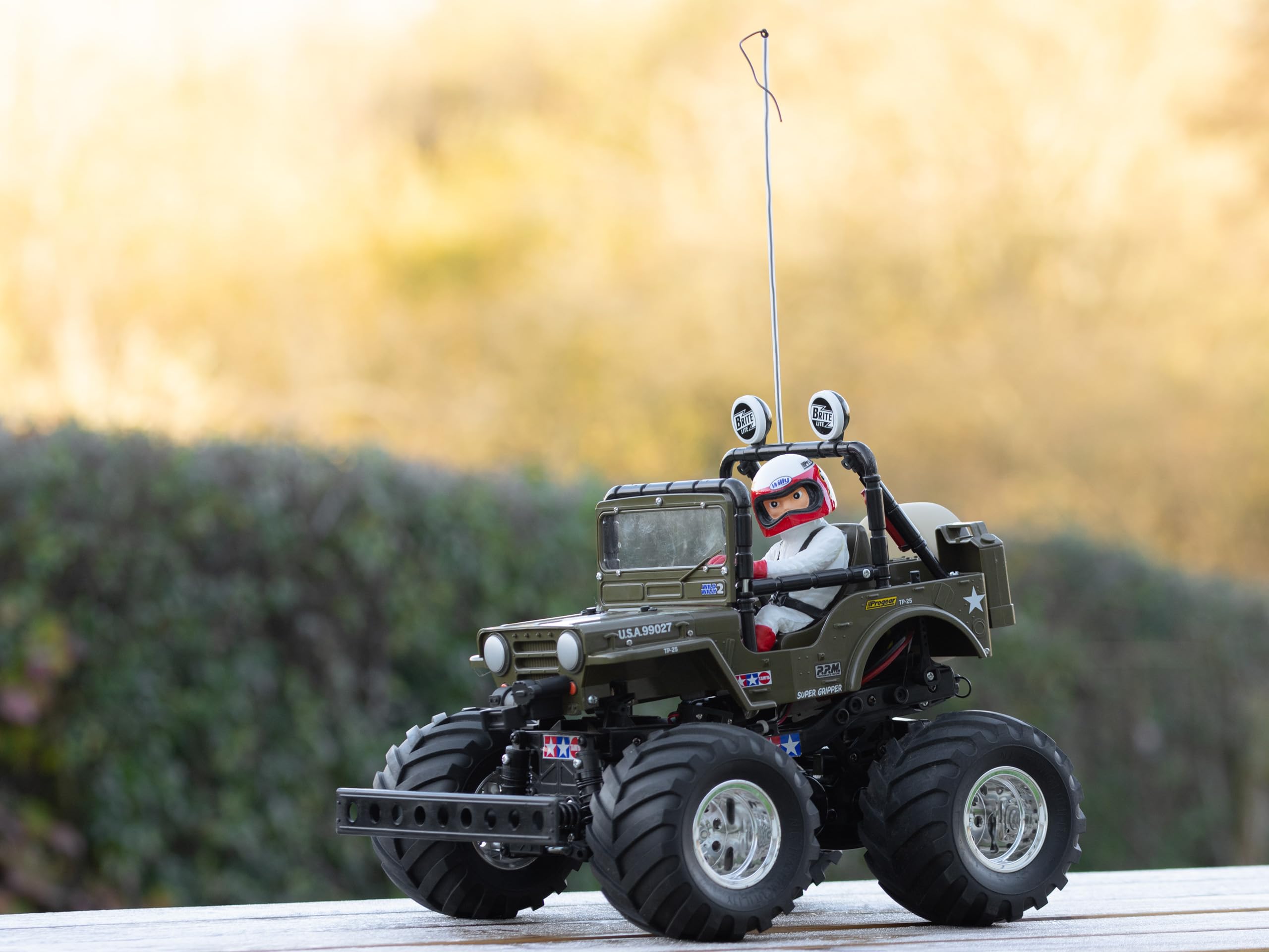 Amazon.co.jp: タミヤ 1/10 電動RCカーシリーズ No.242 ワイルド