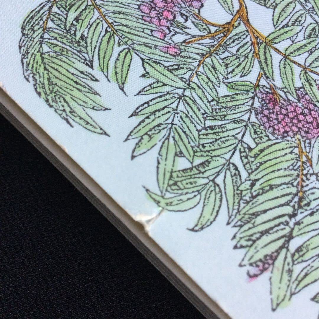 Amazon.co.jp: 植物 イラスト 花 フラワー 洋書 本 英語 ボタニカル