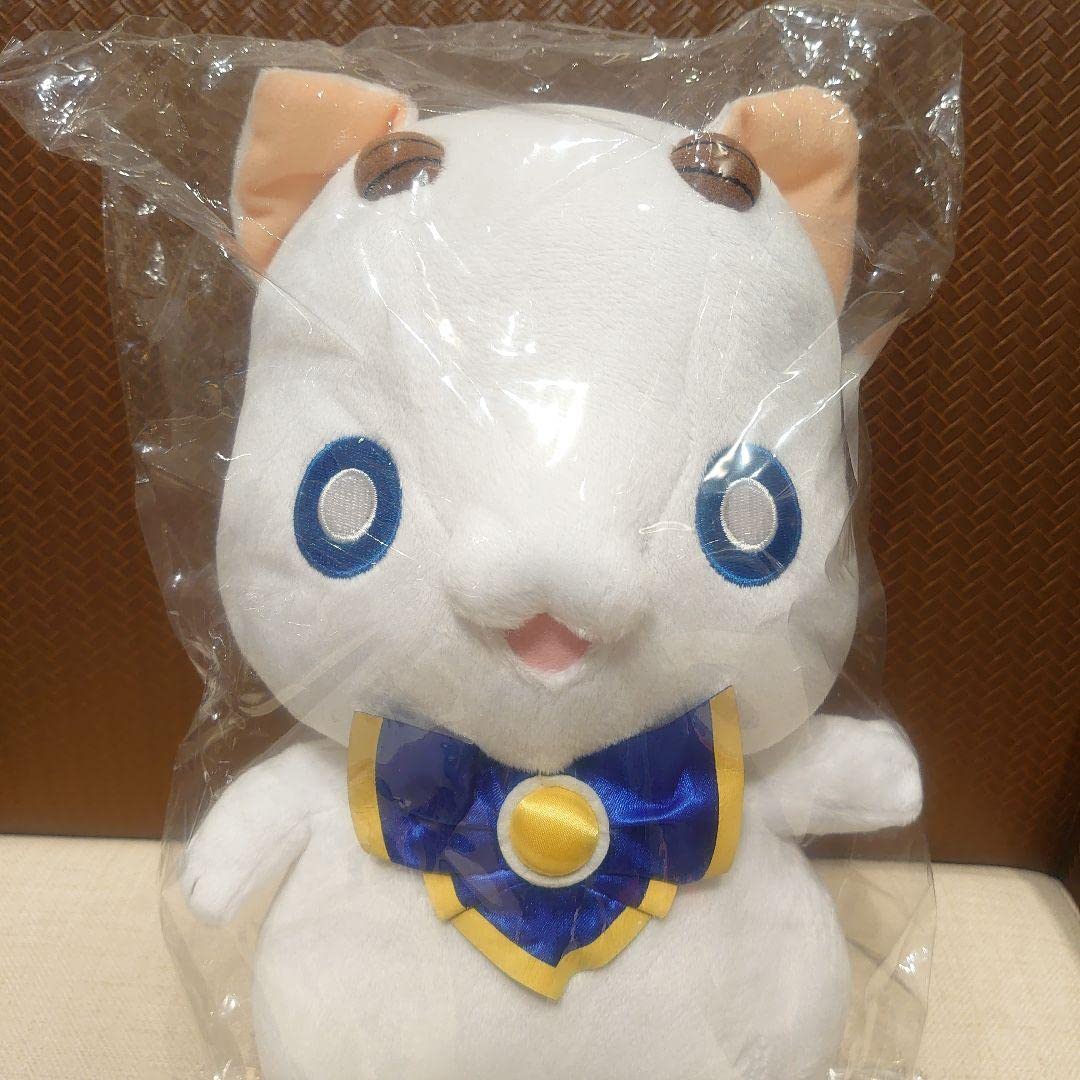 Amazon.co.jp: ARIA The AVVENIRE ARIAカンパニー アリア社長