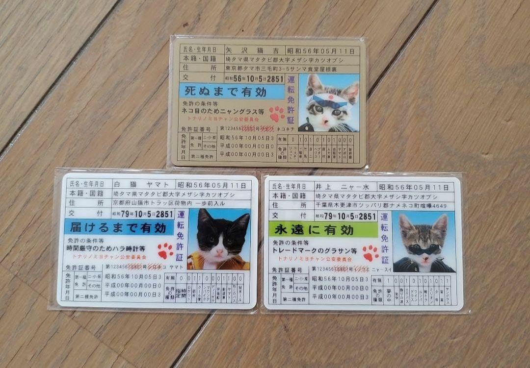 Amazon.co.jp: なめ猫 免許証 ゴールド カード 昭 和レトロ 平成レトロ