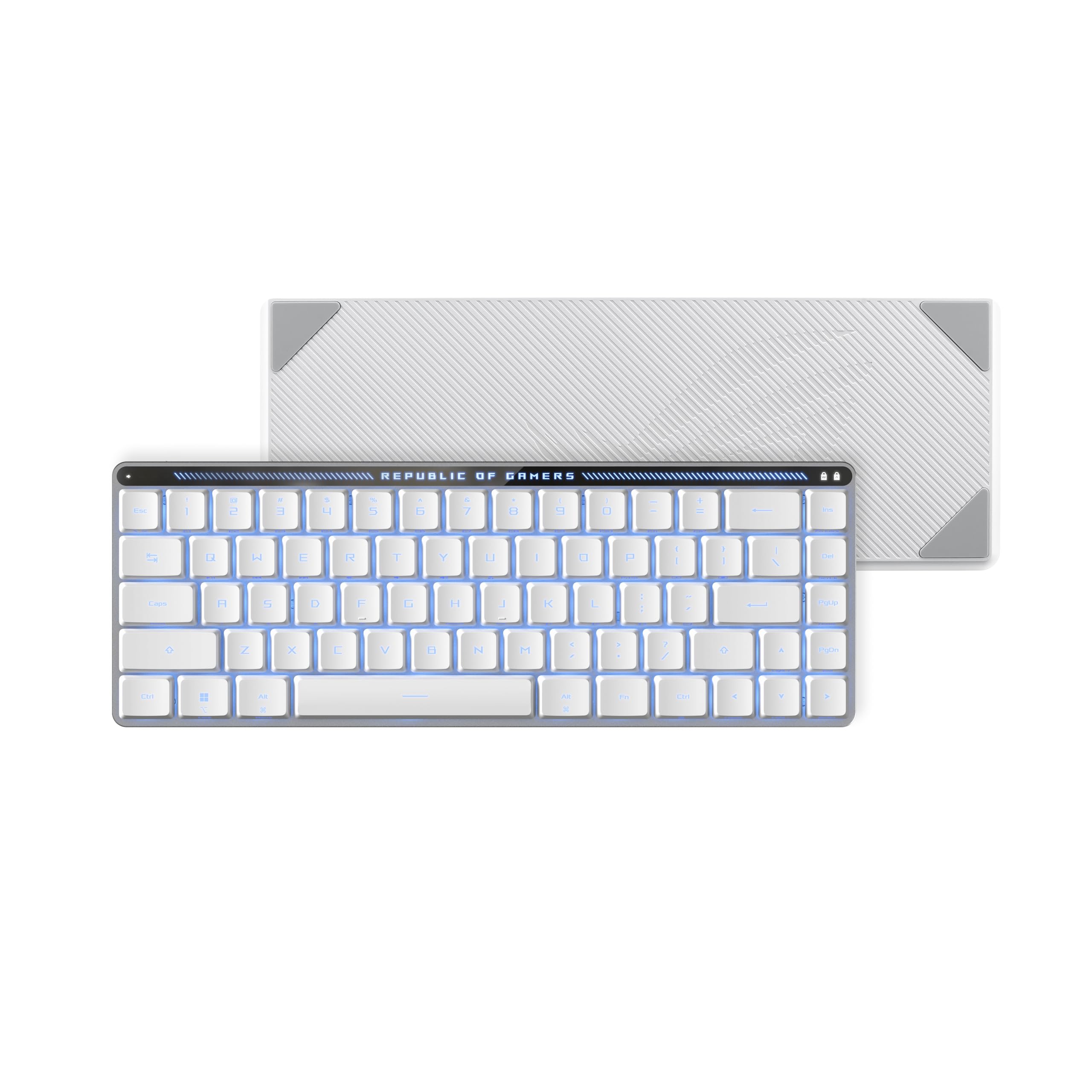 Amazon.com: ASUS ROG Falchion RX Low Profile 65% Wireless Gaming